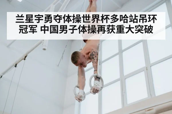 gymnastics rings competition